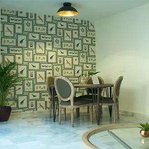  Appartamento & Center Premiun
